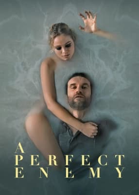 Poster phim A Perfect Enemy