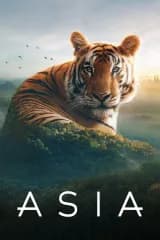 Poster phim Asia