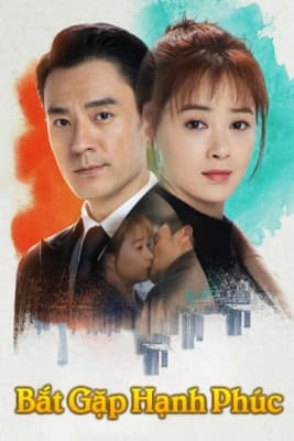 Poster phim Bắt Gặp Hạnh Phúc