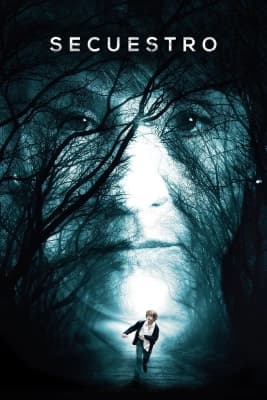Poster phim Cậu Bé Mất Tích
