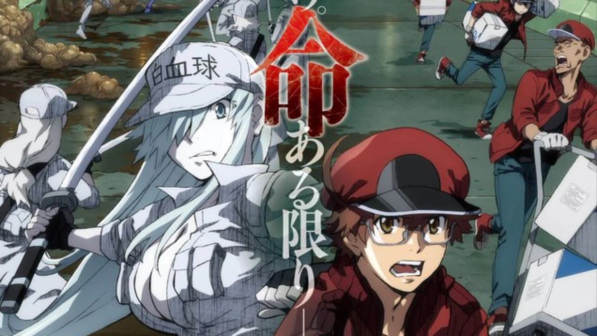 Cells at Work! BLACK (Cells at Work! BLACK)