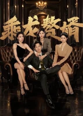Poster phim Chàng Rể Tài Ba
