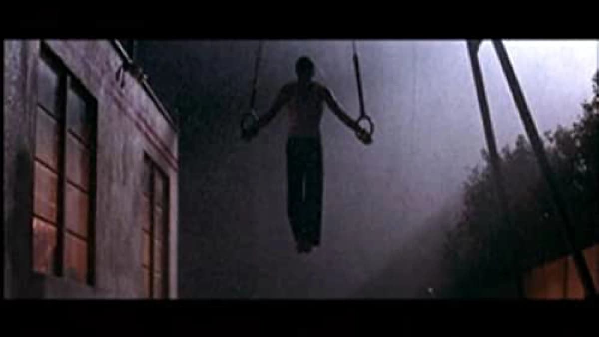 Chiến Binh Hòa Bình (Peaceful Warrior)