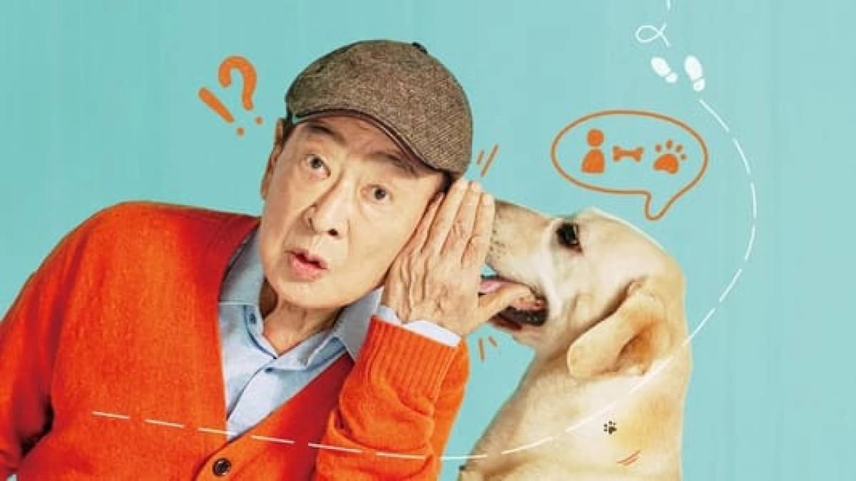 Chú Chó Biết Tuốt (Dog Knows Everything)