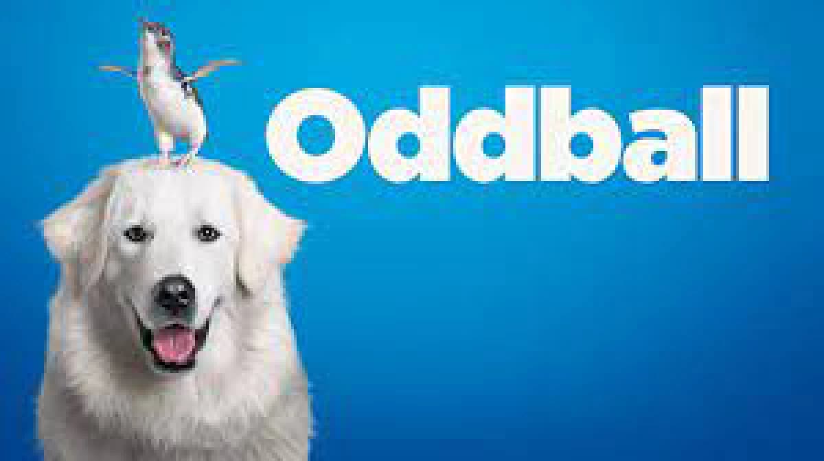 Chú Chó OddBall (Oddball)
