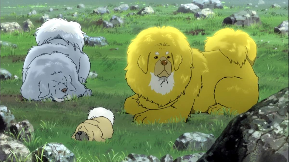 Chú Chó Tây Tạng (The Tibetan Dog)