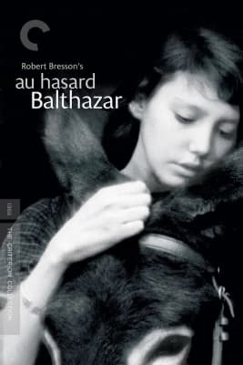 Poster phim Chú Lừa Balthazar
