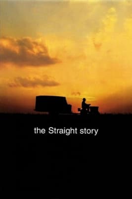 Poster phim Chuyện Của Straight