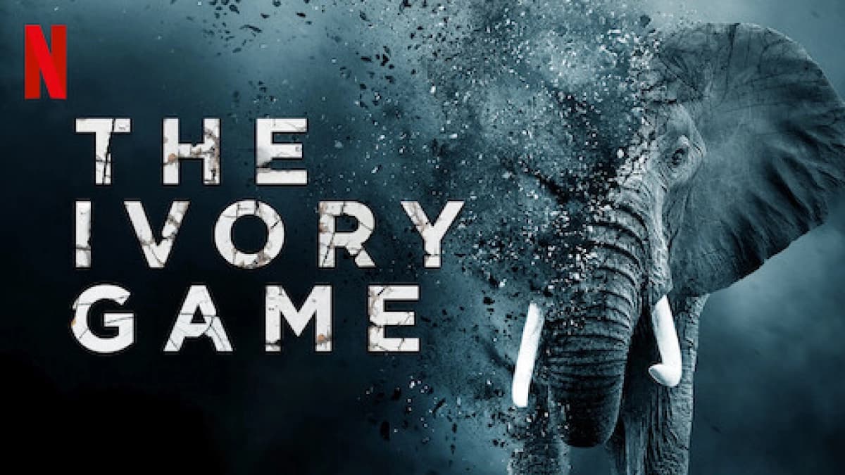 Cuộc chiến ngà voi (The Ivory Game)