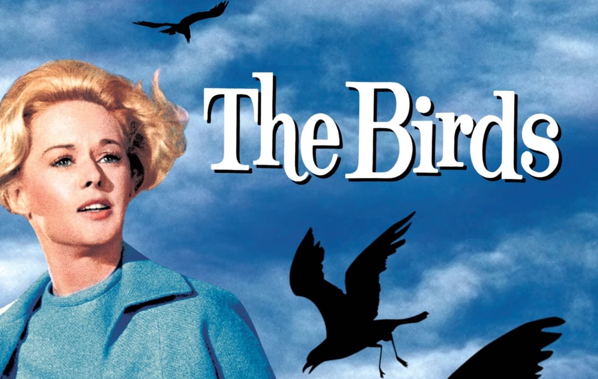 Đàn Chim Dữ (The Birds)