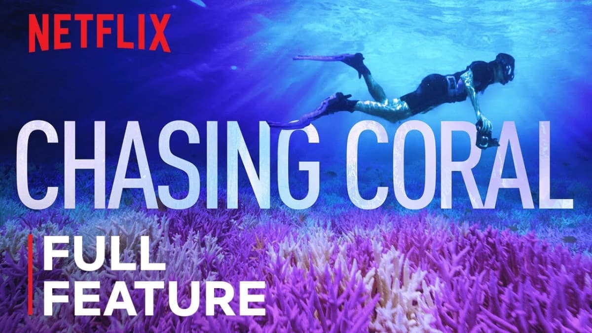 Đi tìm san hô (Chasing Coral)
