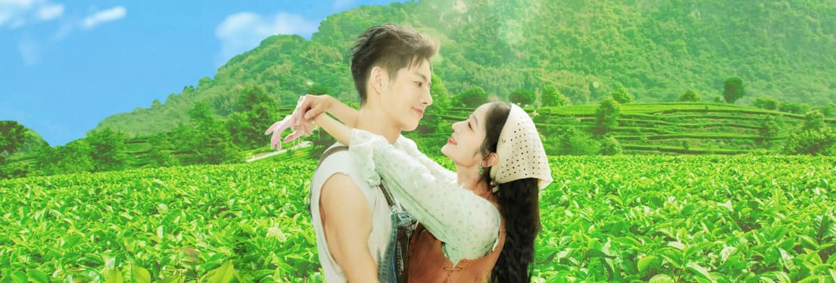 Đồi Trà Tình Yêu (Love in the Tea Garden)