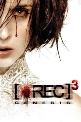 Poster phim Góc Quay Đẫm Máu 3