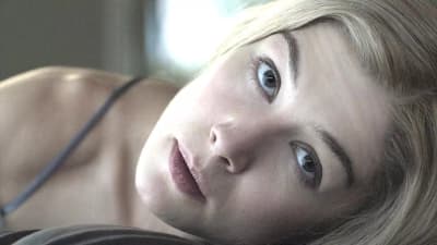 Gone Girl (Gone Girl)