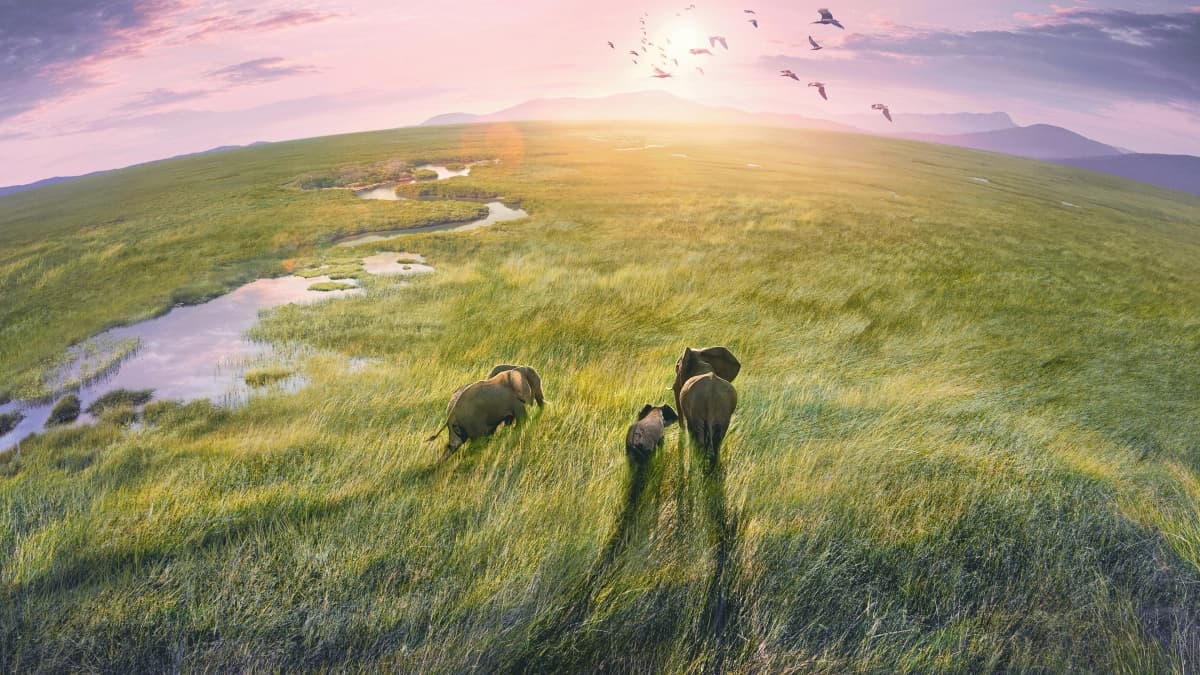 Hành Tinh Trái Đất 3 (Planet Earth III)