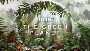 Hành Tinh Xanh (The Green Planet)