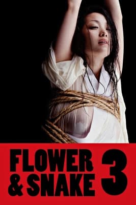 Poster phim Hoa Và Rắn 3