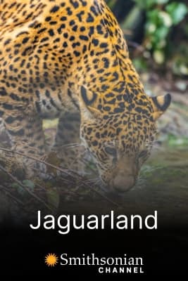 Poster phim Jaguarland