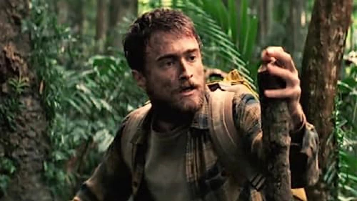 Jungle (Jungle)