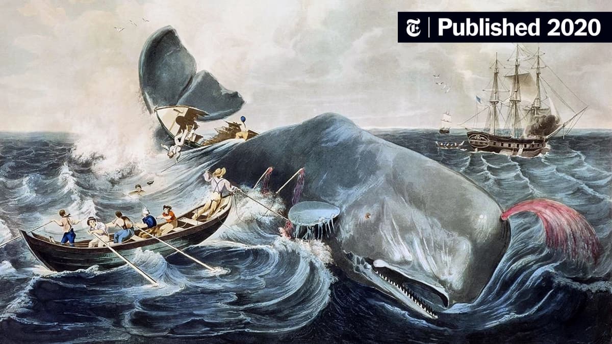 Kẻ Đưa Tin (Moby Dick)