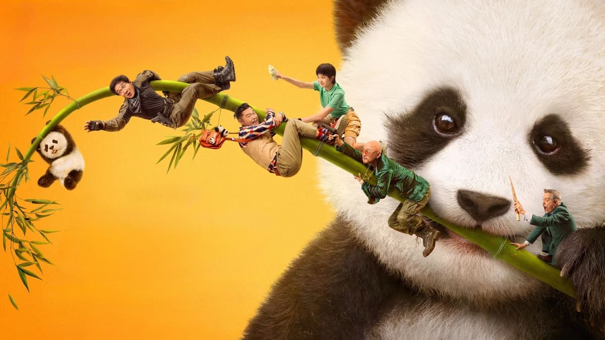 Kế Hoạch Gấu Trúc (Panda Plan)
