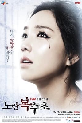 Poster phim Lửa Hận Tình Thù
