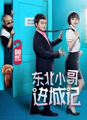 Poster phim Người thuê nhà khác