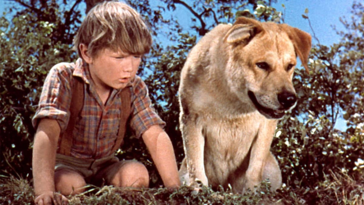 Old Yeller (Old Yeller)