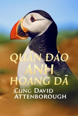 Poster phim Quần Đảo Anh Hoang Dã