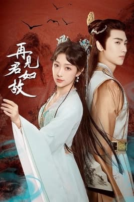 Poster phim Tái Kiến Quân Như Cố