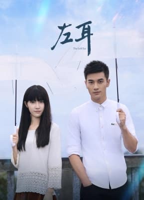 Poster phim Tai Trái