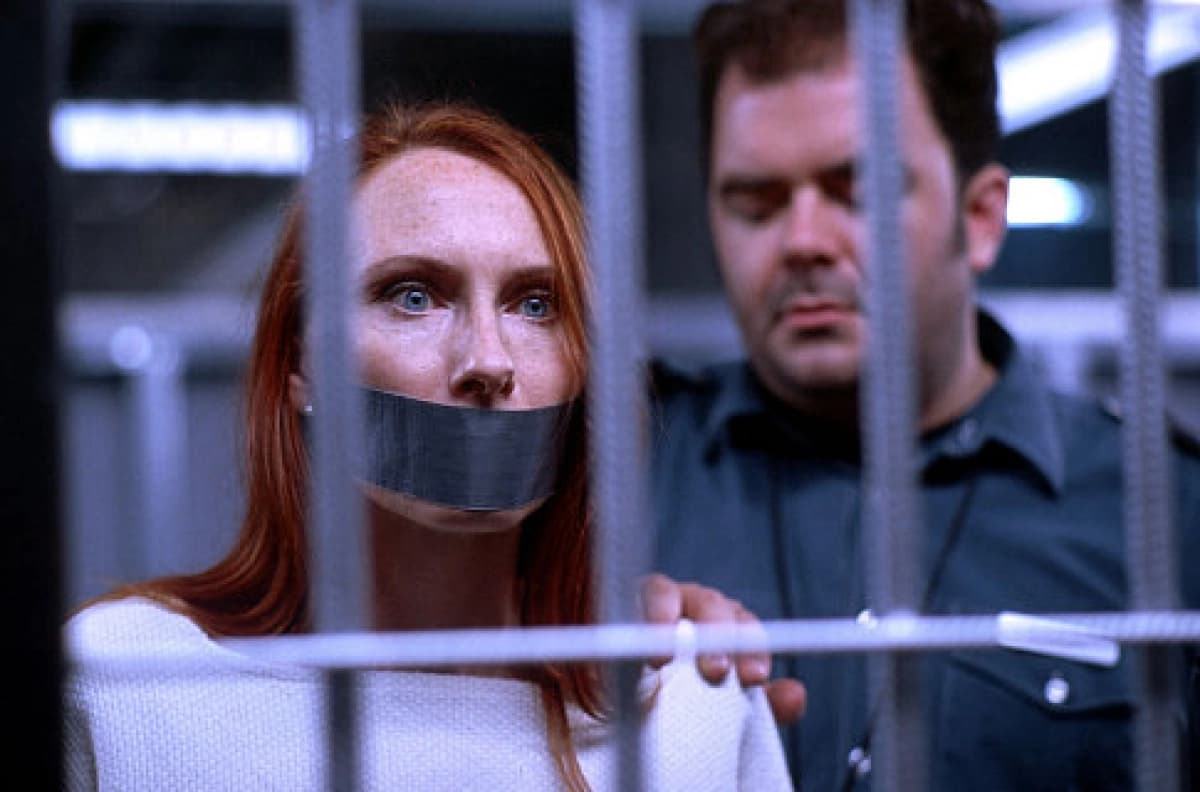The Experiment (The Experiment)