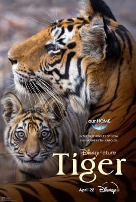 Poster phim Tiger