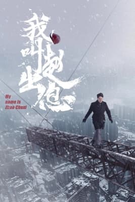 Poster phim Tôi Là Triệu Xuất Tức