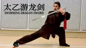 Tung Hoành Giang Hồ (Swimming Dragon Sword)