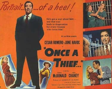 Tung hoành tứ hải (Once a Thief)