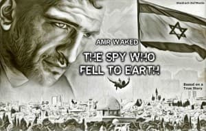 Vạch Mặt Điệp Viên (The Spy Who Fell to Earth)