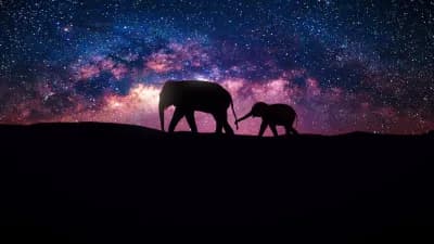 Vũ trụ (Our Universe)