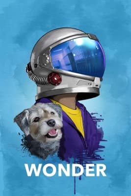 Poster phim Wonder